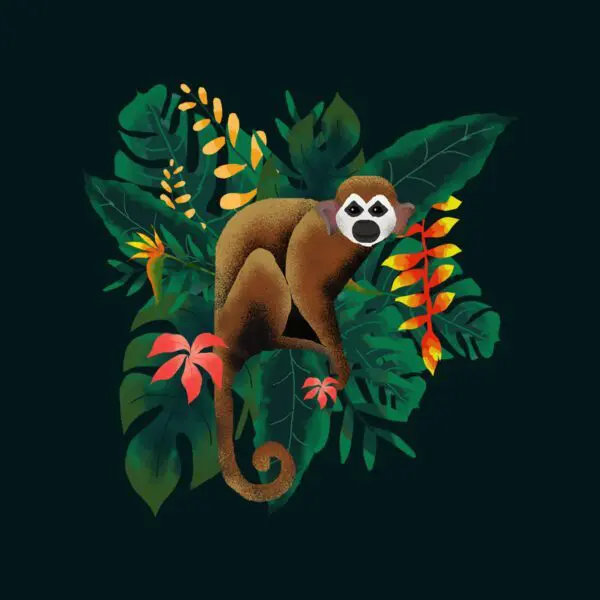 monkey